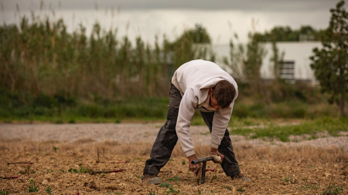 Le jardin ampélographique du Comptoir des Crus - 